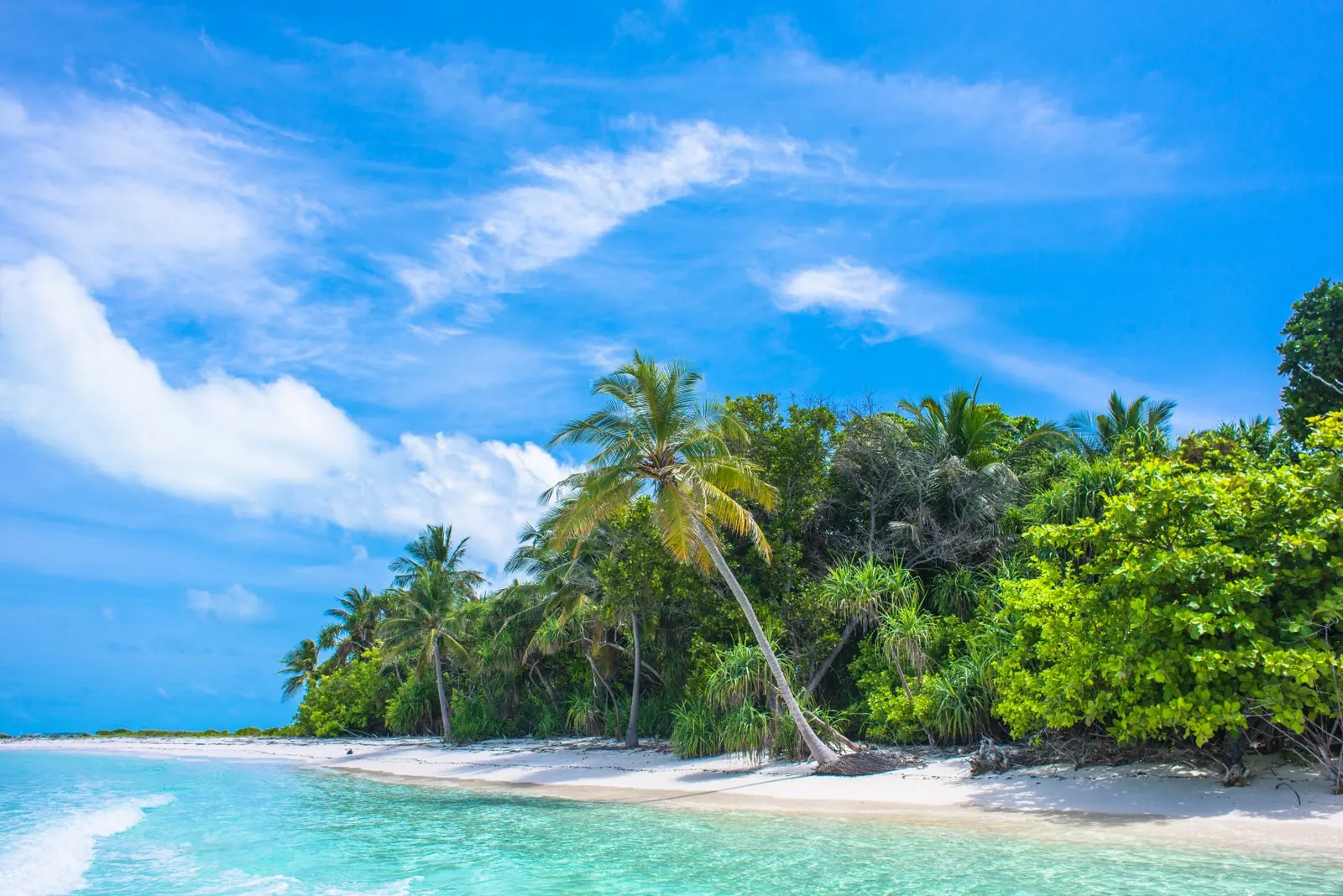 Praia tropical com coqueiros e areia branca no litoral da Bahia