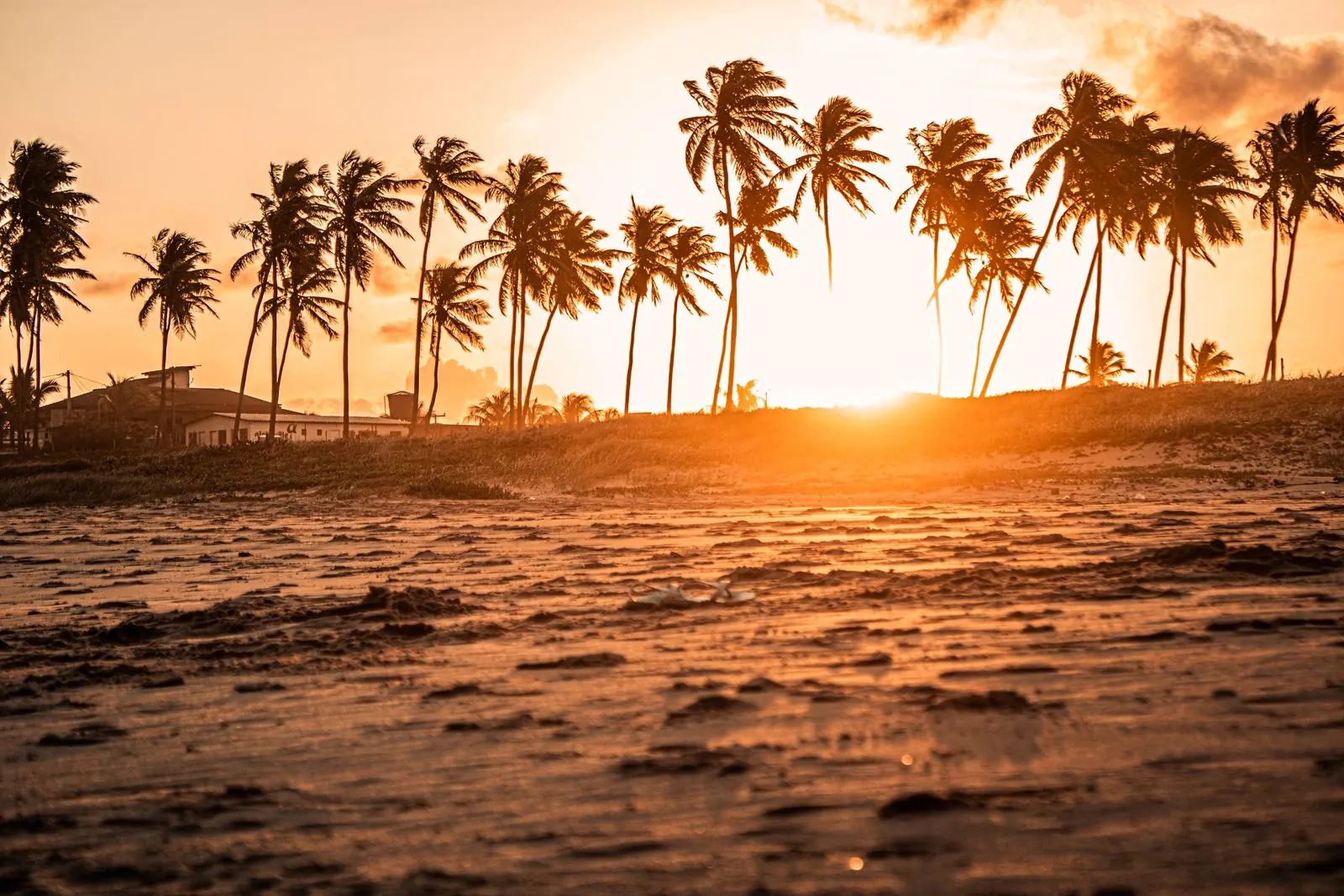 Pôr do sol em praia de coqueiros no litoral da Bahia