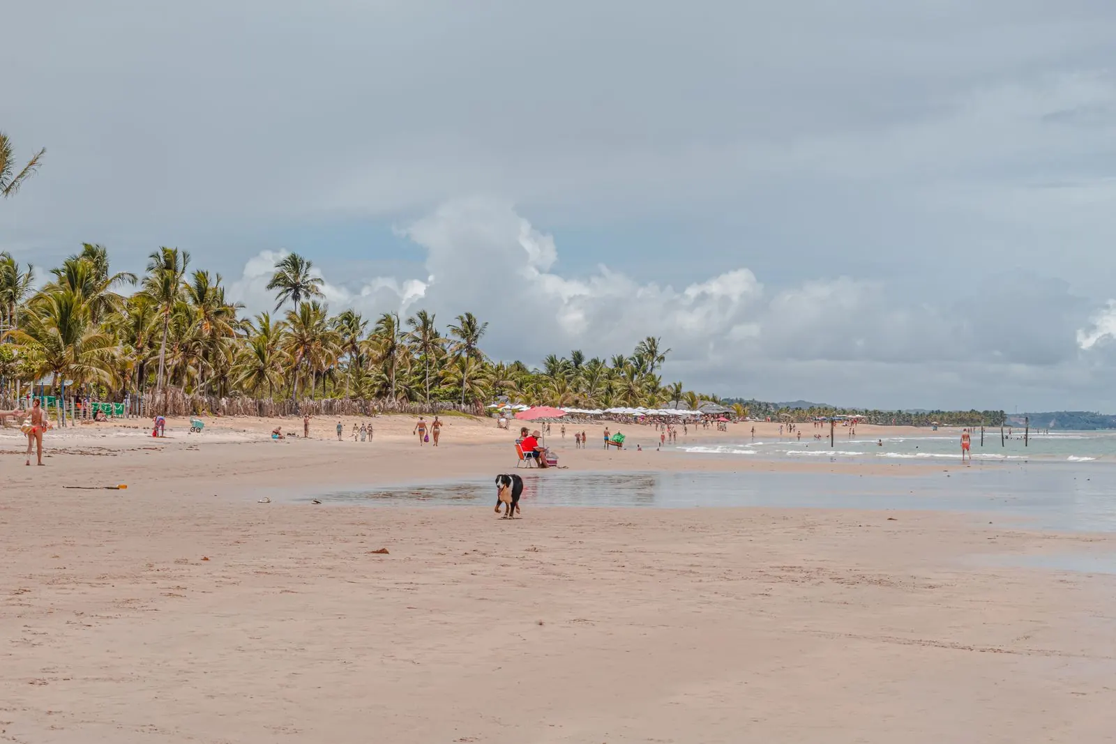 Praia de Trancoso com coqueiros e mar azul
